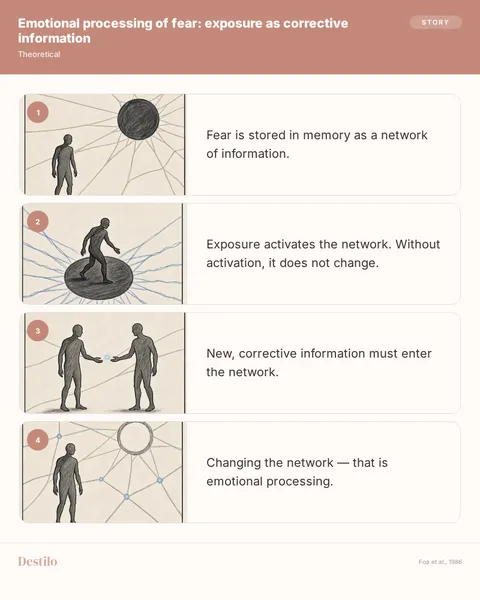 New information in the fear network